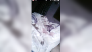 Hottie takes dick in mouth because it's homemade oral Indian sex porn