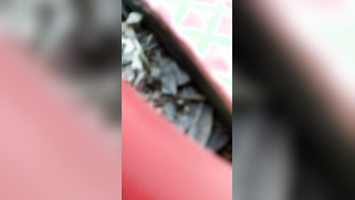 Outdoor sex with teen Desi who lies on ground enjoying hot fucking | XXX Video on AllSex.XXX