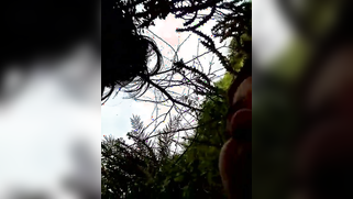 Desi woman shows how quick beautiful outdoor pussy-drilling can be | XXX Video on AllSex.XXX