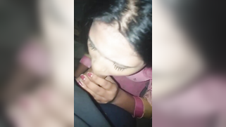 Girl in pink sari knows her way around oral Indian sex and fucking | XXX Video on AllSex.XXX