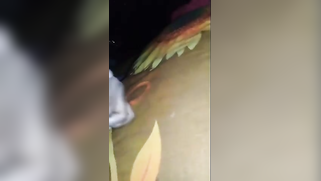 So much adrenaline when young man films stepsister having Indian sex | XXX Video on AllSex.XXX