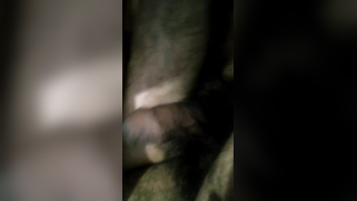 Caring Desi man rubs wife's ass and pussy before so desired sex | XXX Video on AllSex.XXX