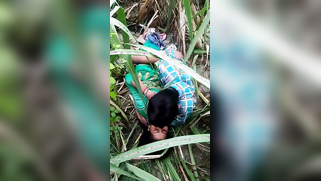 Voyeur spies on young Desi couple who fools around on a grass field | XXX Video on AllSex.XXX