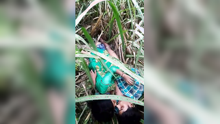 Voyeur spies on young Desi couple who fools around on a grass field | XXX Video on AllSex.XXX