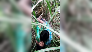 Voyeur spies on young Desi couple who fools around on a grass field | XXX Video on AllSex.XXX