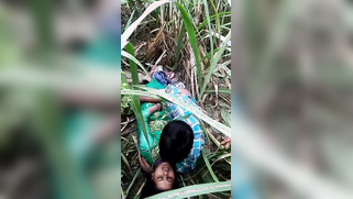 Voyeur spies on young Desi couple who fools around on a grass field | XXX Video on AllSex.XXX