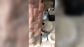 Desi voyeur interrupts quick indian sex of excited village lovers | XXX Video on AllSex.XXX