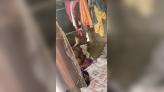 Desi voyeur interrupts quick indian sex of excited village lovers | XXX Video on AllSex.XXX