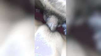 Close up video in which cock slides into XXX peach of Indian wife | XXX Video on AllSex.XXX