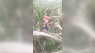 Desi voyeur captures on camera outdoor indian sex of young couple | XXX Video on AllSex.XXX