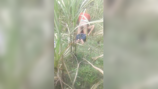 Desi voyeur captures on camera outdoor indian sex of young couple | XXX Video on AllSex.XXX