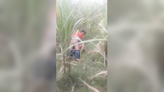 Desi voyeur captures on camera outdoor indian sex of young couple | XXX Video on AllSex.XXX