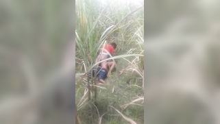 Desi voyeur captures on camera outdoor indian sex of young couple | XXX Video on AllSex.XXX