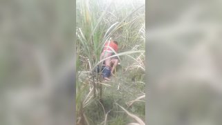 Desi voyeur captures on camera outdoor indian sex of young couple