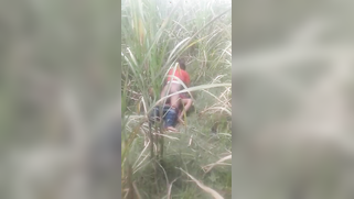 Desi voyeur captures on camera outdoor indian sex of young couple | XXX Video on AllSex.XXX