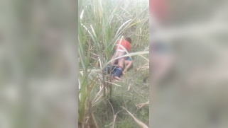 Desi voyeur captures on camera outdoor indian sex of young couple | XXX Video on AllSex.XXX