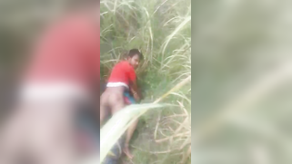 Desi voyeur captures on camera outdoor indian sex of young couple | XXX Video on AllSex.XXX