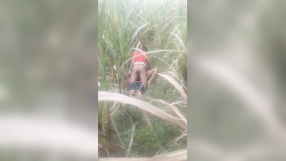 Desi voyeur captures on camera outdoor indian sex of young couple | XXX Video on AllSex.XXX