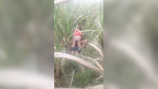 Desi voyeur captures on camera outdoor indian sex of young couple | XXX Video on AllSex.XXX