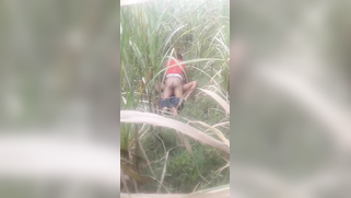 Desi voyeur captures on camera outdoor indian sex of young couple | XXX Video on AllSex.XXX