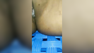 Before indian sex lovely Desi girl demonstrates her tits and snatch | XXX Video on AllSex.XXX