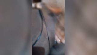 Solo indian sex video of chubby mature fingering own moist snatch | XXX Video on AllSex.XXX