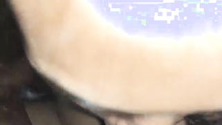 Hungry Desi gal sucks weenie preparing it for indian sex in missionary | XXX Video on AllSex.XXX