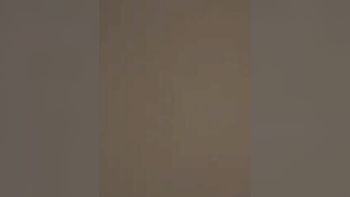 Desi teen sucks prick before ardent indian sex in bedroom begins | XXX Video on AllSex.XXX