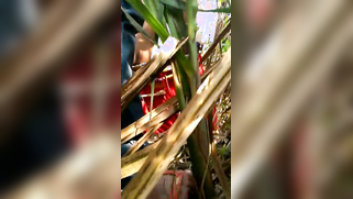 Outdoor indian sex video of Desi teen flashing her natural boobs | XXX Video on AllSex.XXX