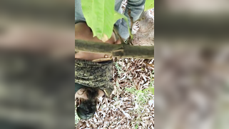 Hidden camera films outdoor Indian sex of the two married lovers | XXX Video on AllSex.XXX