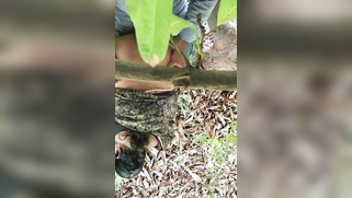 Hidden camera films outdoor Indian sex of the two married lovers | XXX Video on AllSex.XXX