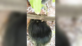 Hidden camera films outdoor Indian sex of the two married lovers | XXX Video on AllSex.XXX