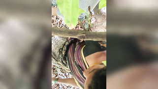 Hidden camera films outdoor Indian sex of the two married lovers | XXX Video on AllSex.XXX