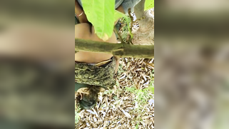 Hidden camera films outdoor Indian sex of the two married lovers | XXX Video on AllSex.XXX