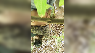 Hidden camera films outdoor Indian sex of the two married lovers | XXX Video on AllSex.XXX