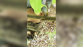 Hidden camera films outdoor Indian sex of the two married lovers | XXX Video on AllSex.XXX