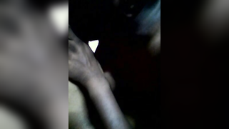 Indian sex and camera always go hand in hand for the sweethearts | XXX Video on AllSex.XXX