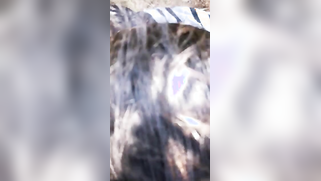 Smart Desi woman attracts new clients by giving them a blowjob | XXX Video on AllSex.XXX