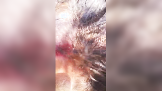 Smart Desi woman attracts new clients by giving them a blowjob | XXX Video on AllSex.XXX