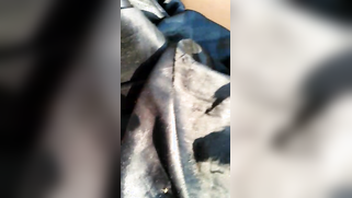 Outdoor Indian sex of the guy with camera and his pretty XXX partner | XXX Video on AllSex.XXX