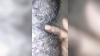 Adorable Desi girl licks XXX buddy's anus then gives him a blowjob | XXX Video on AllSex.XXX