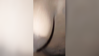 Indian with big nipples enjoys XXX sausage on camera for the first time | XXX Video on AllSex.XXX