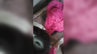 Attractive Desi chick giving XXX blowjob in POV indian sex video | XXX Video on AllSex.XXX