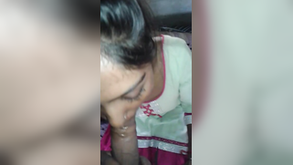 Attractive Desi chick giving XXX blowjob in POV indian sex video | XXX Video on AllSex.XXX