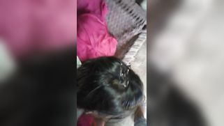 Attractive Desi chick giving XXX blowjob in POV indian sex video | XXX Video on AllSex.XXX