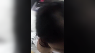 Cute Desi sexpot brave enough to suck BF's stiff XXX phallus on cam | XXX Video on AllSex.XXX