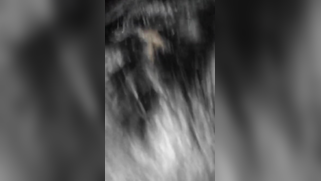 Hungry Desi teen sucks XXX phallus before inviting BF to fuck her | XXX Video on AllSex.XXX