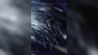 Hungry Desi teen sucks XXX phallus before inviting BF to fuck her | XXX Video on AllSex.XXX