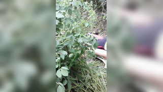 Naughty Indian boy banging slender girl outdoors in XXX missionary | XXX Video on AllSex.XXX