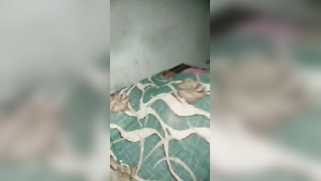 Shy Indian cutie showing her hairy XXX peach in amateur sex video | XXX Video on AllSex.XXX